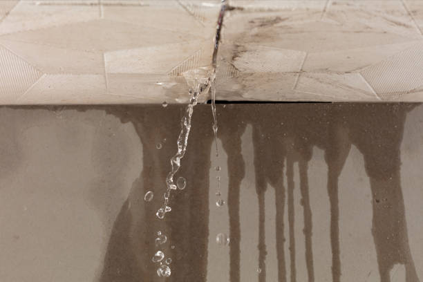 Professional Water Damage Inspection technician working in La Salle, TX